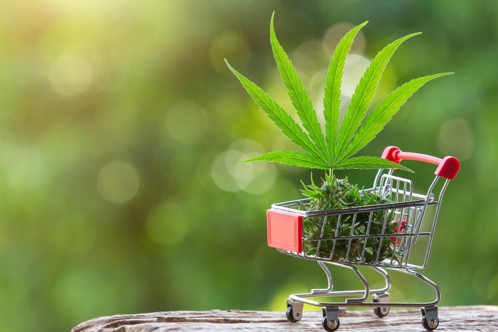 The Future in Cannabis Products 